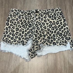 Leopard Shorts